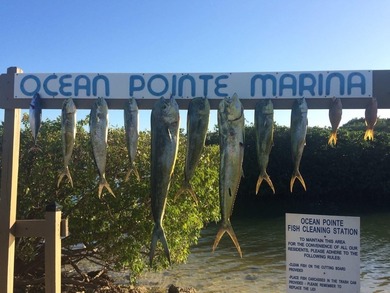 Beach Condo For Sale in Key Largo, Florida