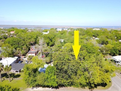 Beach Lot For Sale in Apalachicola, Florida