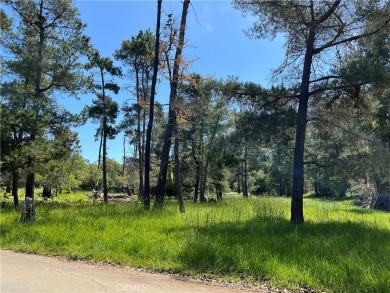 Beach Lot Active Under Contract in Cambria, California