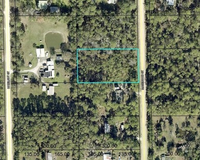 Beach Lot For Sale in Bunnell, Florida