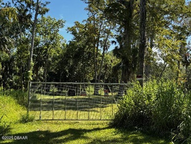 Beach Lot For Sale in Daytona Beach, Florida