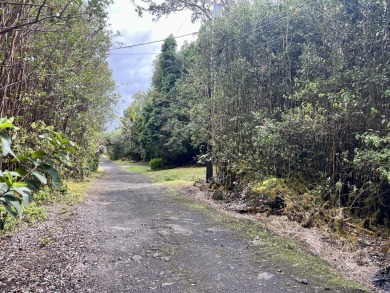 Beach Acreage For Sale in Mountain View, Hawaii