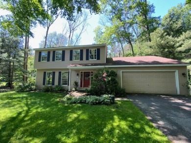 Beach Home Sale Pending in Holland, Michigan