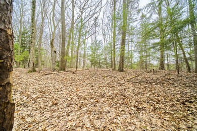 Beach Lot Active Under Contract in Manistee, Michigan