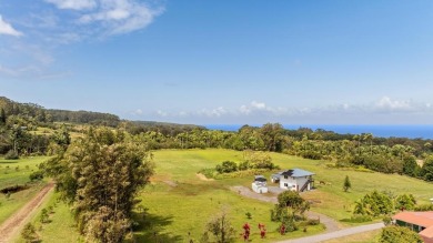 Beach Home For Sale in Hakalau, Hawaii