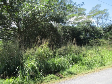 Beach Lot Active Under Contract in Keaau, Hawaii