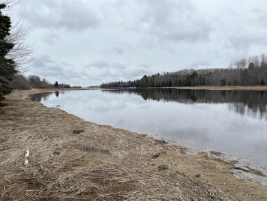 Beach Acreage For Sale in Milbridge, Maine