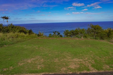Beach Lot For Sale in Ninole, Hawaii