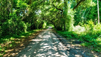 Beach Acreage For Sale in James Island, South Carolina