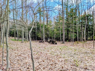 Beach Lot Active Under Contract in Ludington, Michigan