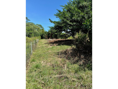 Beach Lot For Sale in Keaau, Hawaii