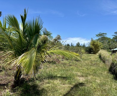 Beach Lot For Sale in Keaau, Hawaii