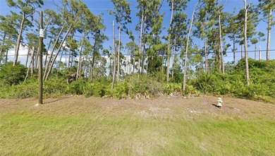 Beach Lot For Sale in Rotonda West, Florida