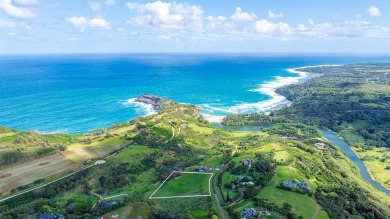 Beach Acreage For Sale in Kilauea, Hawaii