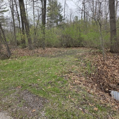 Beach Lot For Sale in Pentwater, Michigan