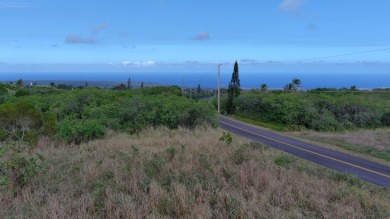 Beach Lot For Sale in Naalehu, Hawaii