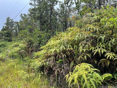 Beach Acreage For Sale in Volcano, Hawaii