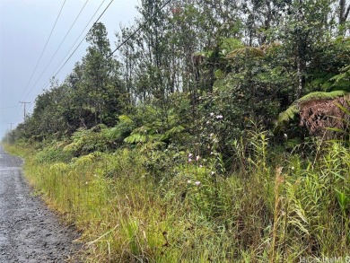 Beach Acreage Sale Pending in Volcano, Hawaii