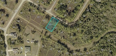 Beach Lot For Sale in Lehigh Acres, Florida