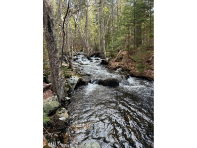 Beach Acreage For Sale in Mount Desert, Maine