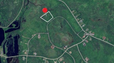 Beach Acreage For Sale in Clam Bay, 