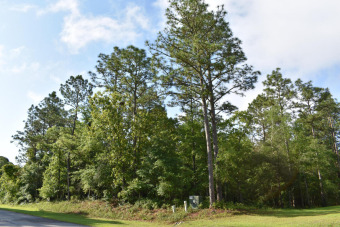 Beach Lot Off Market in Minnesott Beach, North Carolina