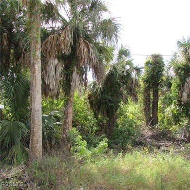 Beach Lot For Sale in St. James City, Florida