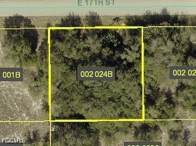 Beach Lot For Sale in Lehigh Acres, Florida