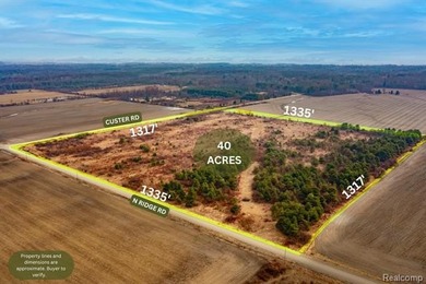 Beach Acreage For Sale in Carsonville, Michigan