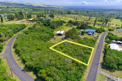 Beach Lot For Sale in Naalehu, Hawaii