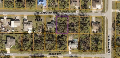 Beach Lot For Sale in North Port, Florida