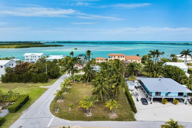Beach Lot For Sale in Duck Key, Florida