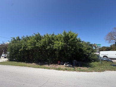 Beach Lot For Sale in Summerland Key, Florida