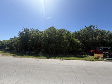 Beach Lot For Sale in Summerland Key, Florida