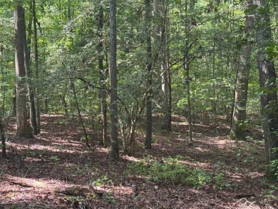 Beach Lot For Sale in Tappahannock, Virginia