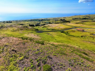 Beach Acreage For Sale in Kapaau, Hawaii