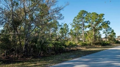 Beach Lot For Sale in Port Charlotte, Florida