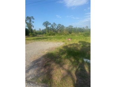 Beach Lot For Sale in Lehigh Acres, Florida