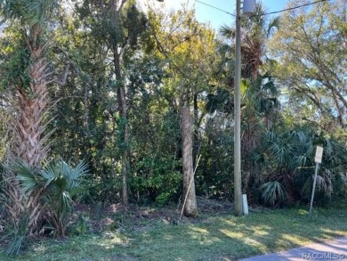 Beach Lot For Sale in Crystal River, Florida