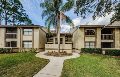 Beach Condo For Sale in Oldsmar, Florida