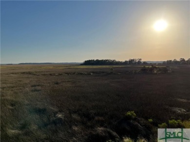 Beach Lot For Sale in Savannah, Georgia