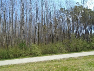 Beach Lot For Sale in Heathsville, Virginia