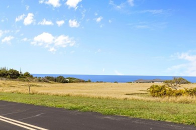 Beach Acreage For Sale in Kamuela, Hawaii