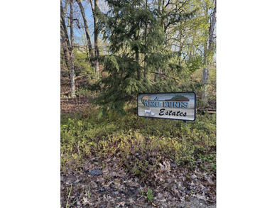 Beach Lot For Sale in Bridgman, Michigan