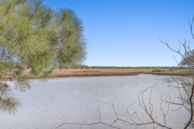 Beach Lot Active Under Contract in Johns Island, South Carolina