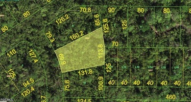 Beach Lot For Sale in Punta Gorda, Florida