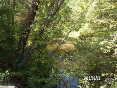 Beach Lot For Sale in Warsaw, Virginia