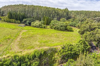 Beach Acreage For Sale in Laupahoehoe, Hawaii