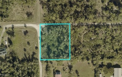 Beach Lot For Sale in Bokeelia, Florida