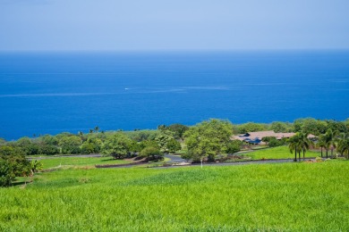 Beach Lot For Sale in Captain Cook, Hawaii